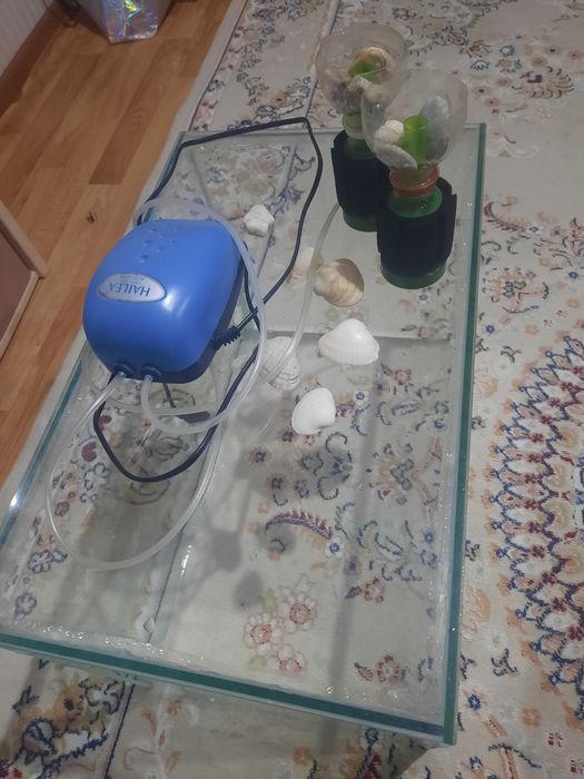 Продам аквариум с компрессором 10000 теңге