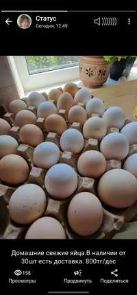 Домашние свежайшие яйца с доставкой на дом