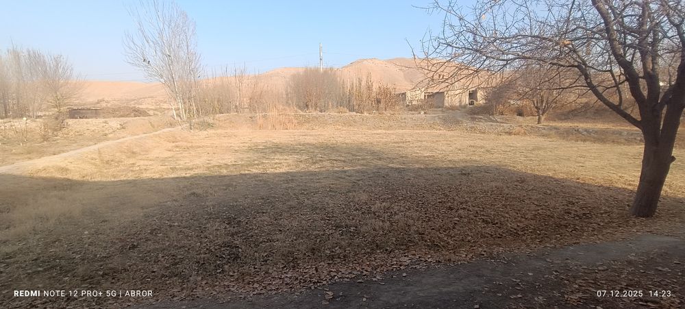 Navbaxor 29 sutiqlik xovli