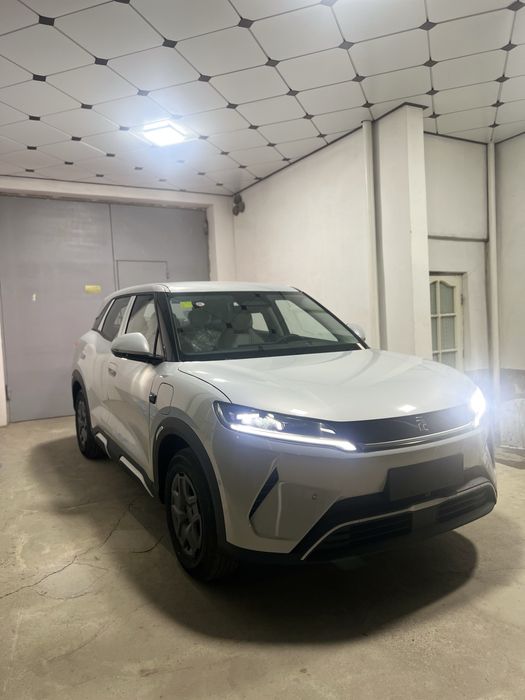 Byd yuan up 2-pozitsa smart 2025
