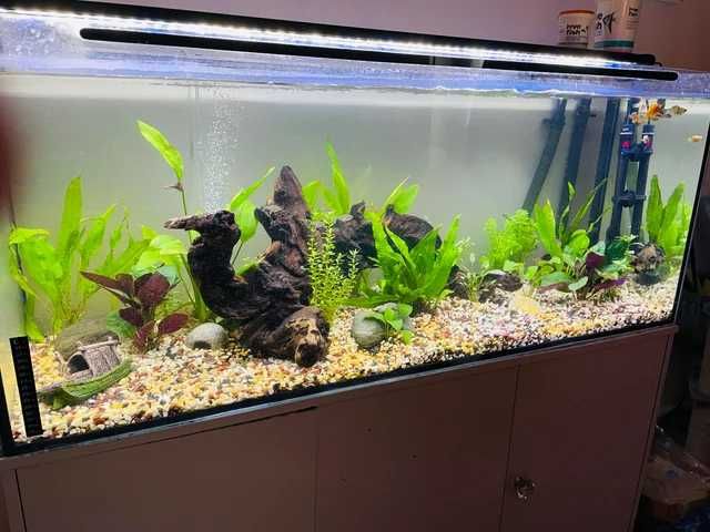 ИЗГОТОВЛЕНИЕ тропических, пресноводных аквариумов под заказ AQUA STORE