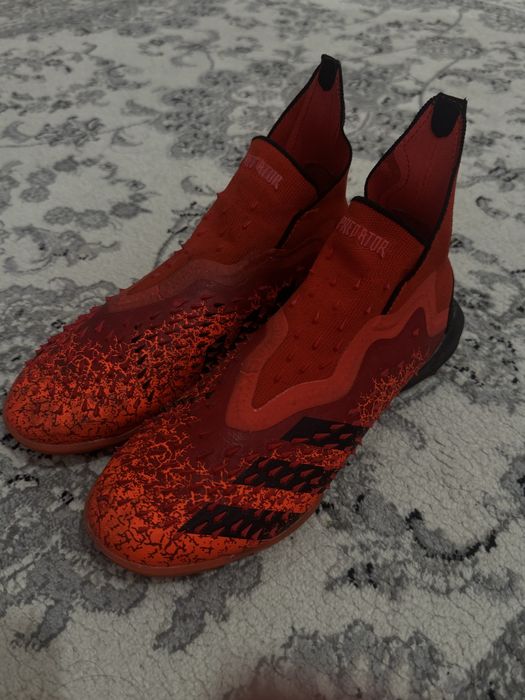 сороконожкр предатор