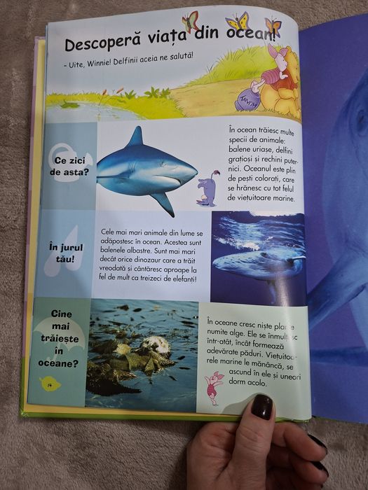 Set de 3 cărți pentru copii