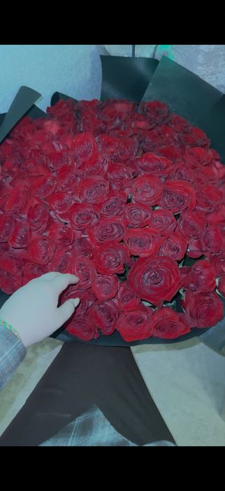 Цветы 101 роза !!