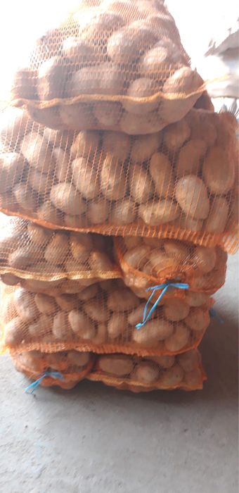 Vând cartofi de consum