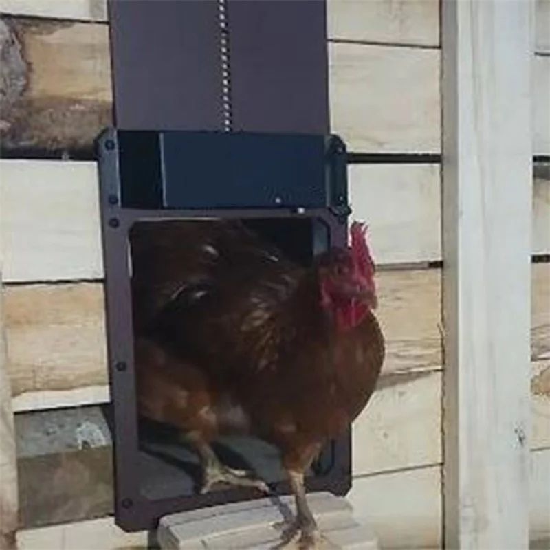 Автоматична врата за курник, кокошарник, гълъби, кокошки, пилета
