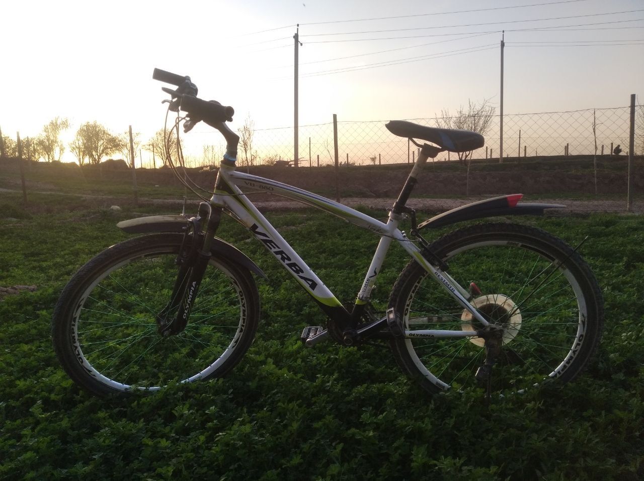 Velosiped Sport Verba 26