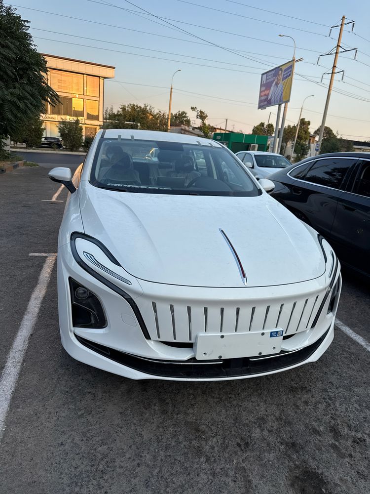Hongqi eqm-5 elektr