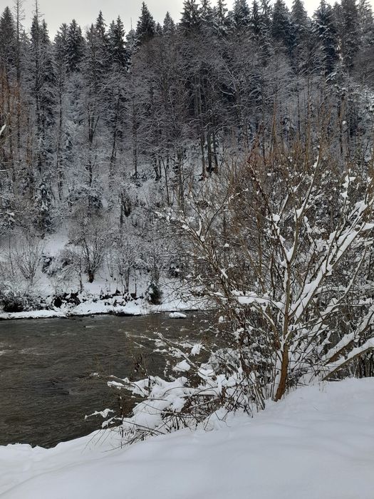 Închiriez cabana Lunca Bradului