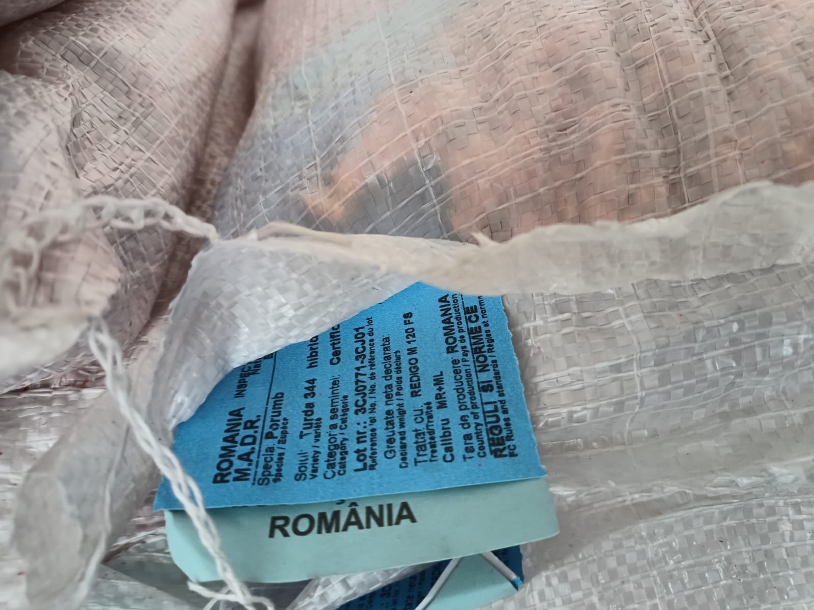 Samanta Porumb Certificat Turda ,200,332,344,380