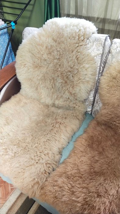 Чехлы лама на сиденья