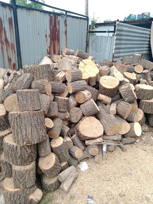 Продам сухие дрова карагач