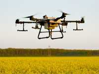 Servicii pulverizare tratamente fitosanitare Drona agricola AGRAS T30