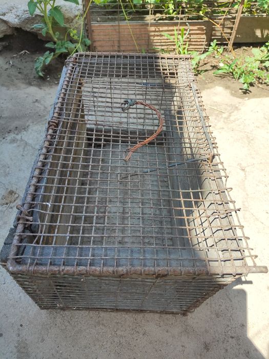 Продам переноску для птиц