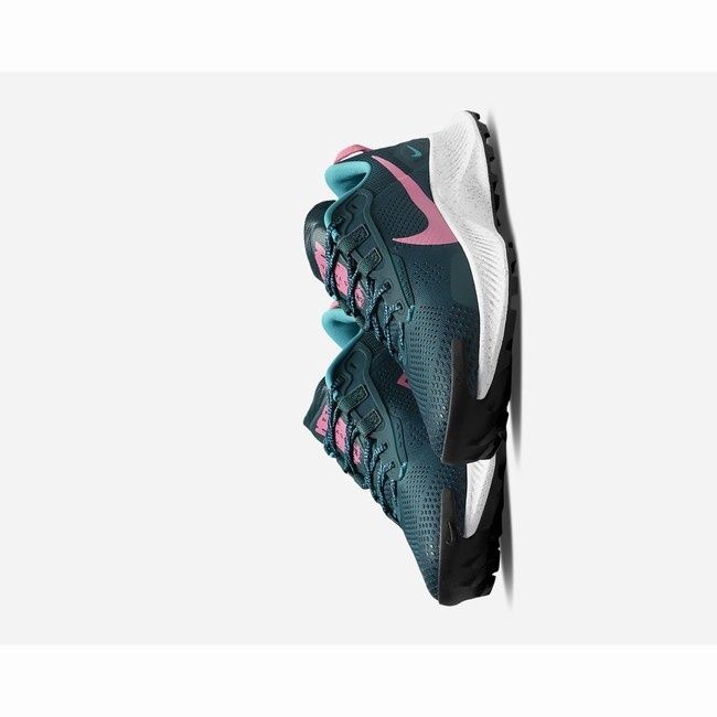 Nike Pegasus trail