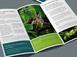 Pliante IEFTINE - 1000 buc format 1/3 A4 trifold = 999 LEI