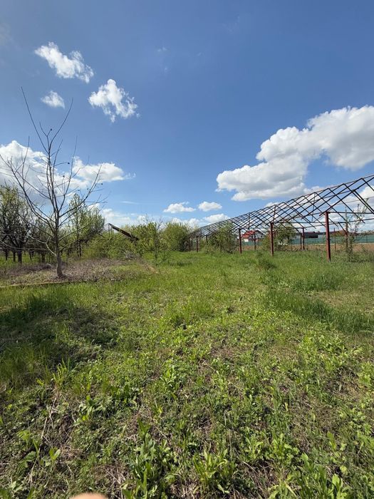 Teren cu livada de vanzare! In Paulesti