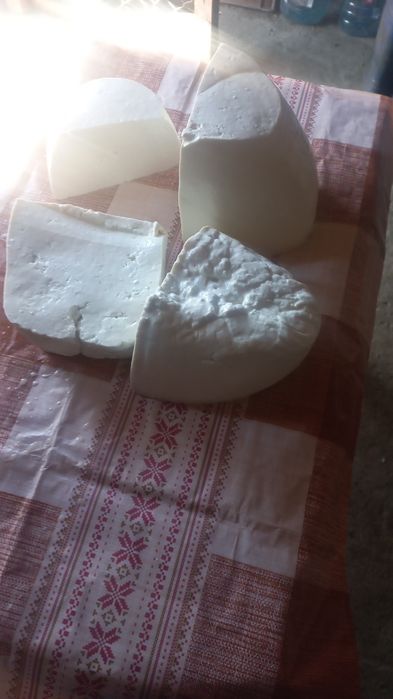 Brânză de capră și oaie la angro