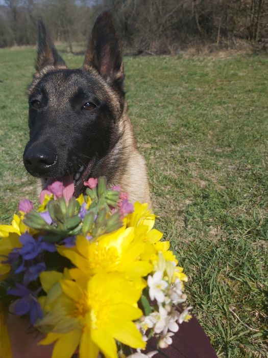 Hera in căutarea unei familii iubitoare