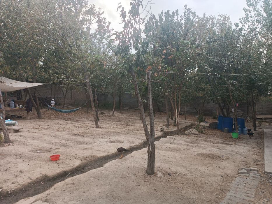 Срочно! Бўзсувда Ҳовли Сотилади!