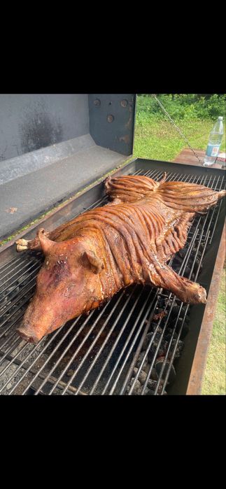 Grill pentru porci ,gratare