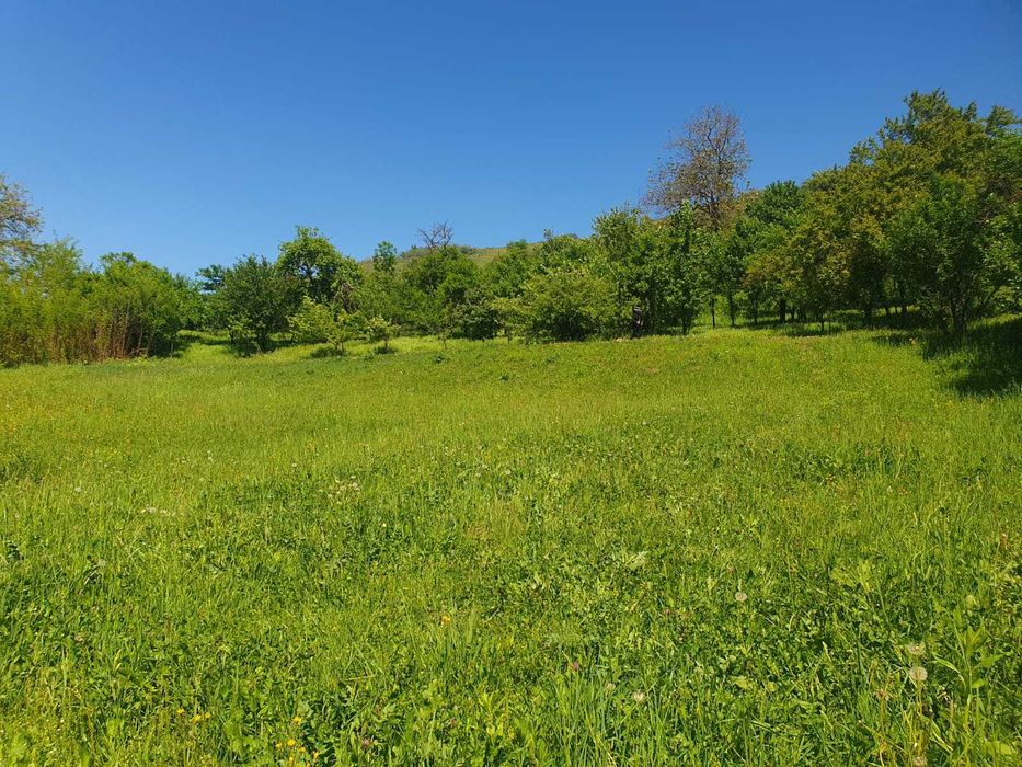 teren intravilan, sat Porumbeni, jud. Mures