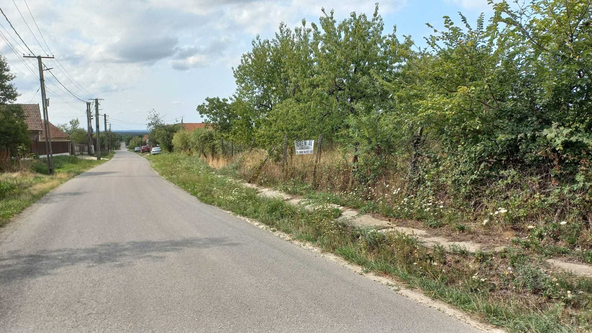 Teren în Sisterea, com. Cetariu – parcelabil, lângă drum asfaltat