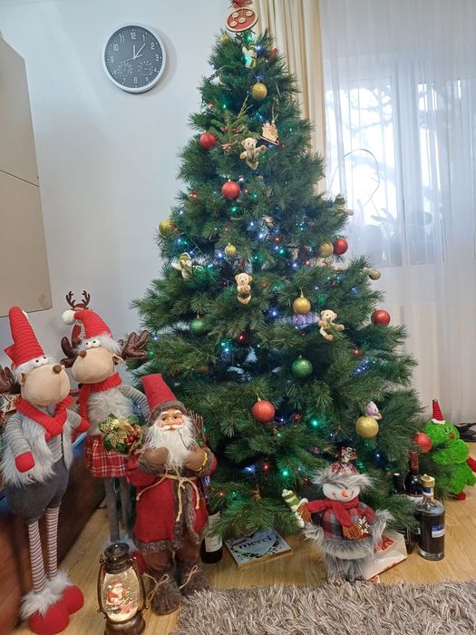 Brad artificial 2.10.  800 ron