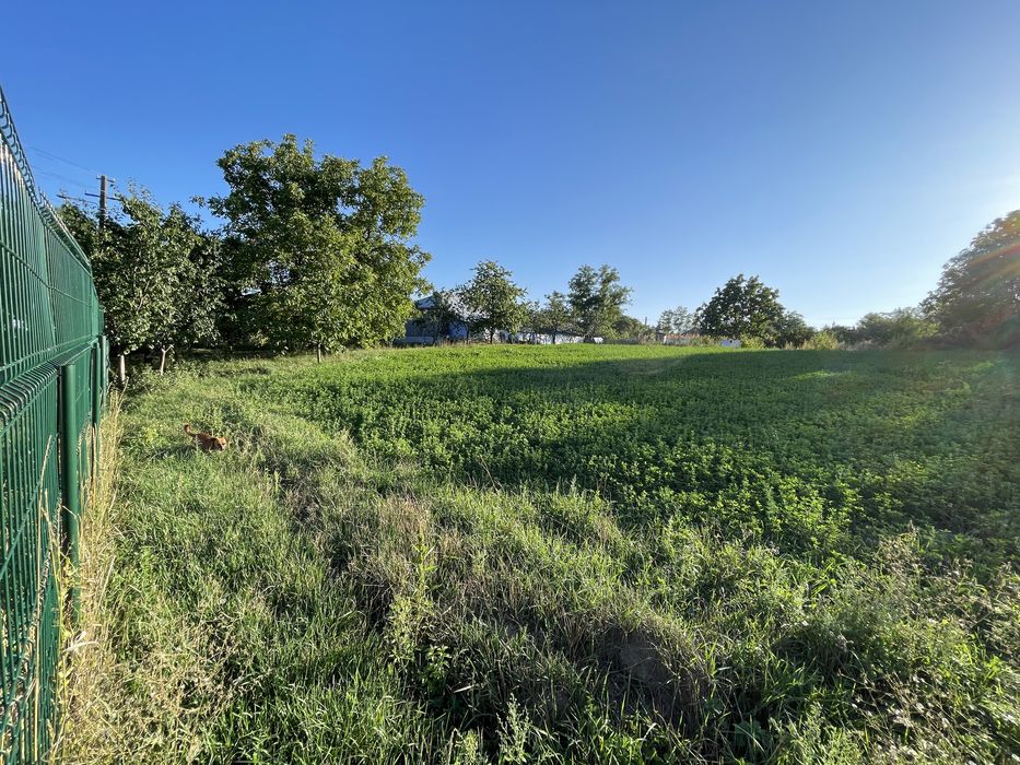 Casa si Gradina Pozitie Centrala pe Loc Drept
