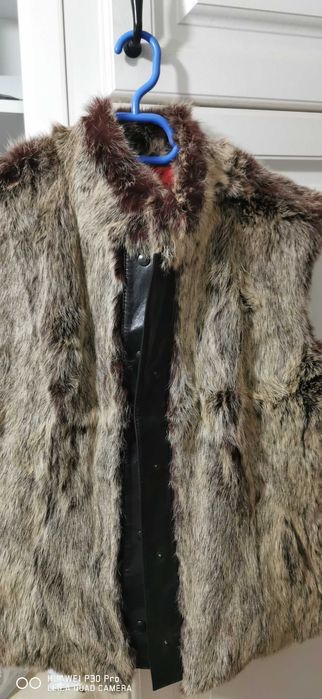 Vesta Dama Massimo Rebecchi