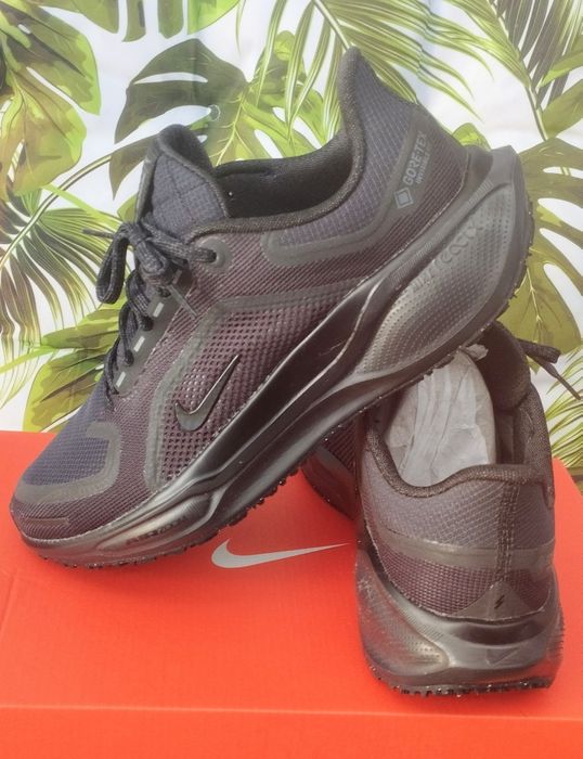 Nike Pegasus Gore-tex 40