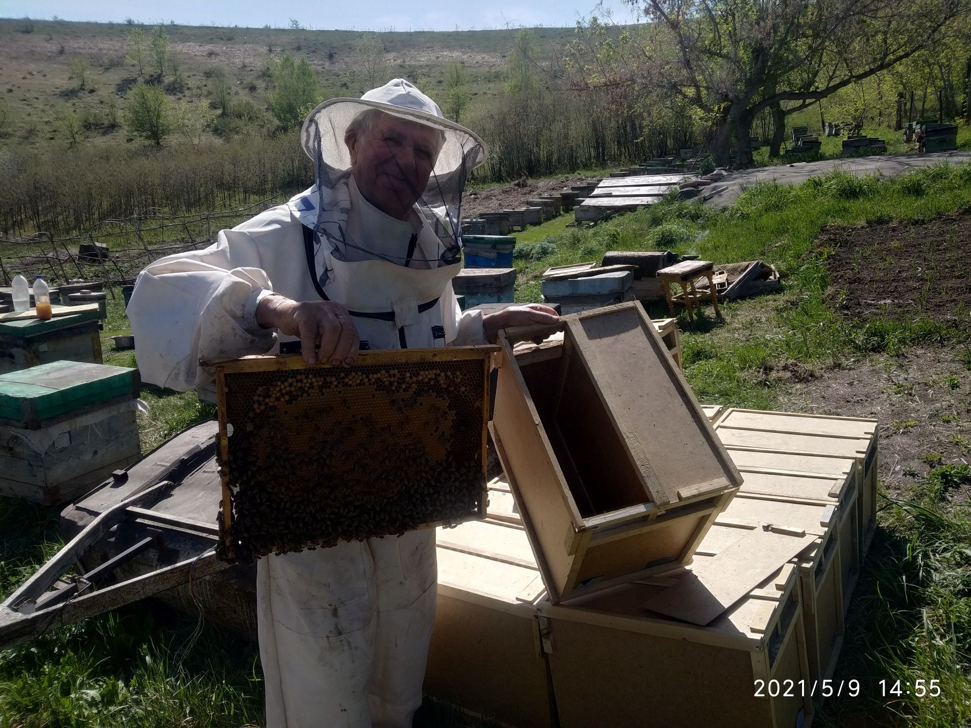 Мед и продукция пчеловодства