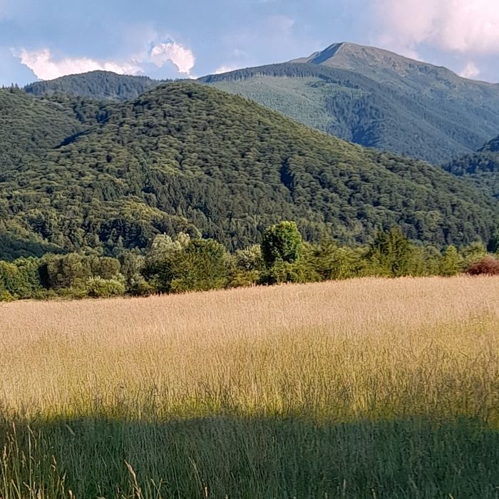 Vând teren zona turistica Breaza Făgăraș jud Brașov