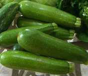 Продам дачные свежие молодые зеленые кабачки