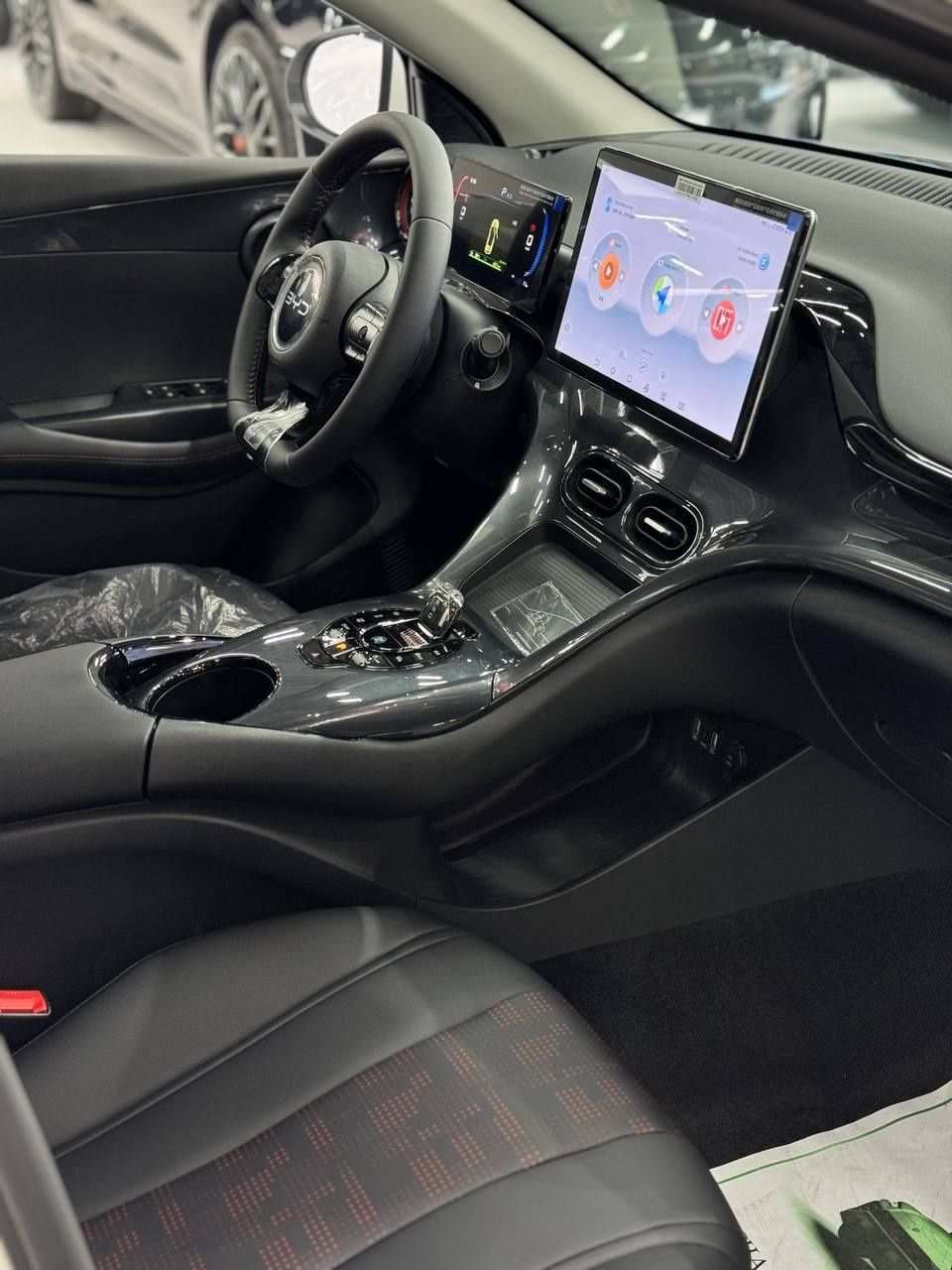 Byd e2 luxry full natariusga tayor