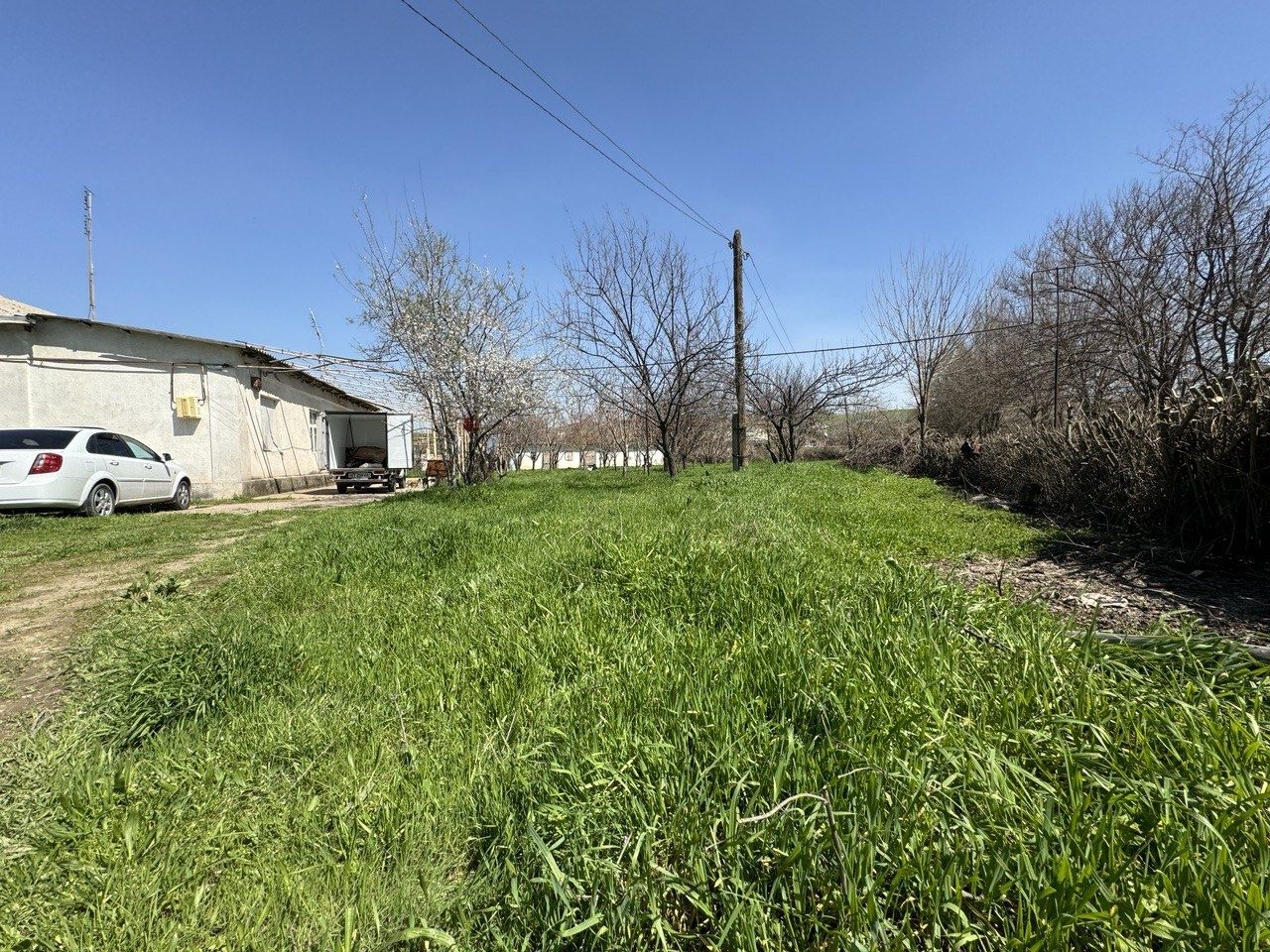 Продается дом с площадами 1 гектар в обл. Ташкент