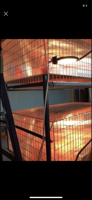 ***Maternitate pui de prepelita,găina,Gașca,fazani,rate,bibilici,etc