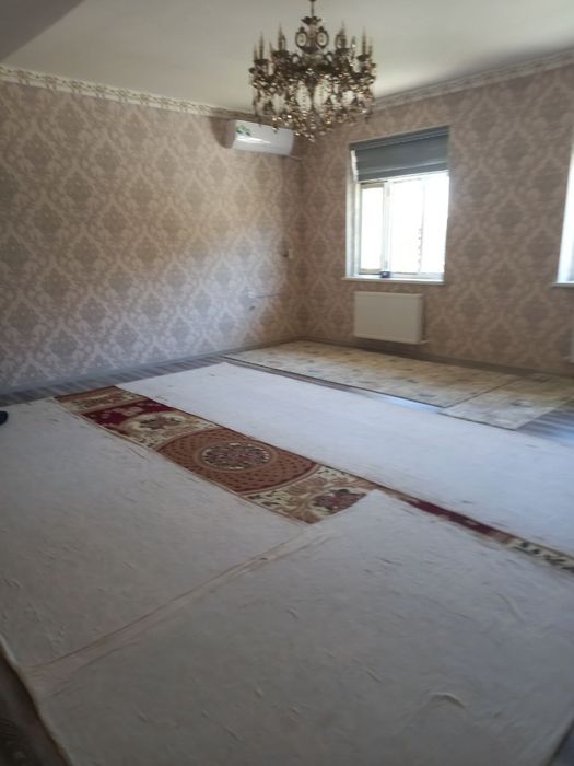 Osiyoga yaqin yangi domga qiz kerak
