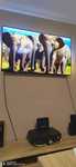Philips 55 Oled 4K