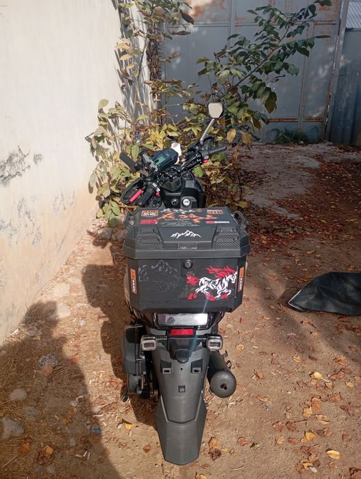 Здаю в аренду 2 скутера