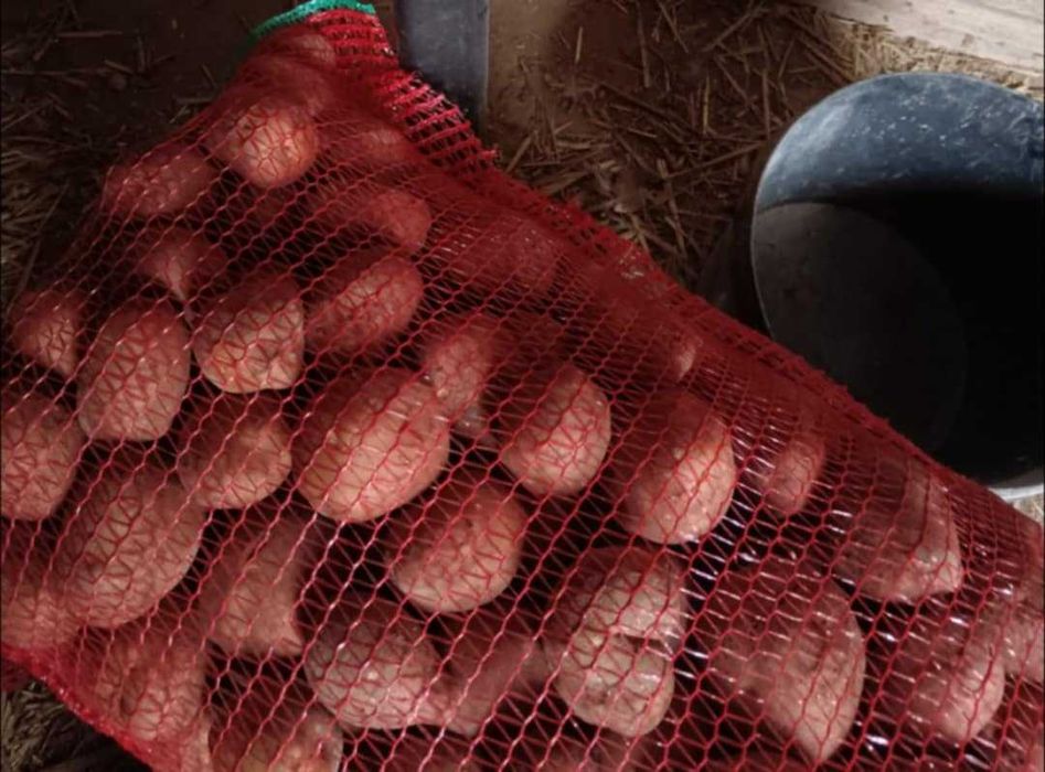 Cartofi de vânzare- Eladò krumpli