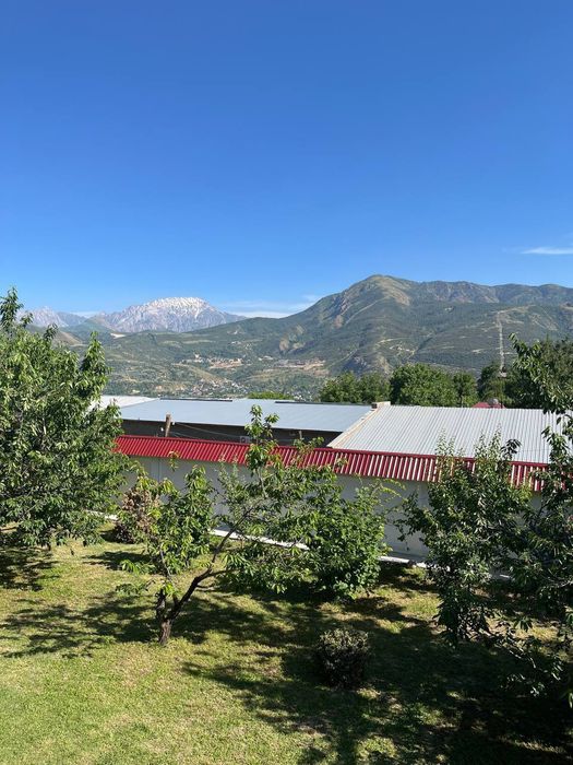 Dacha chorvoq sotiladi