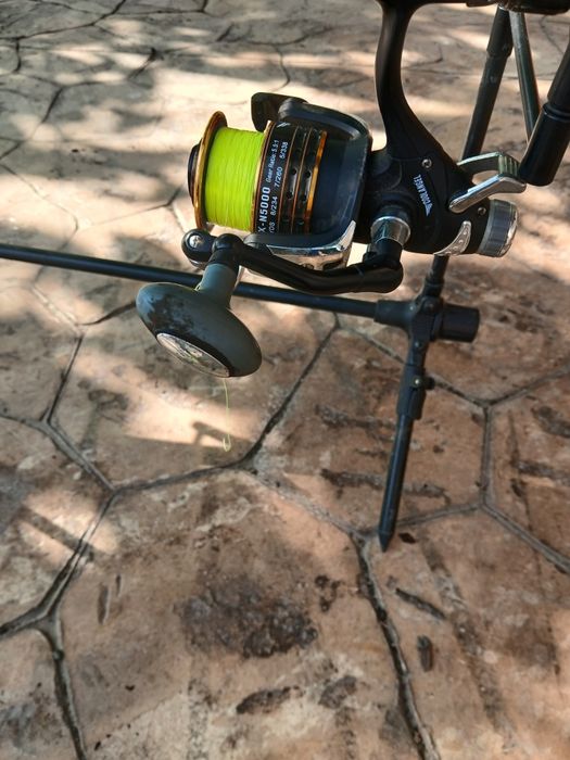 Lansete;rod pod;minciog;scaun