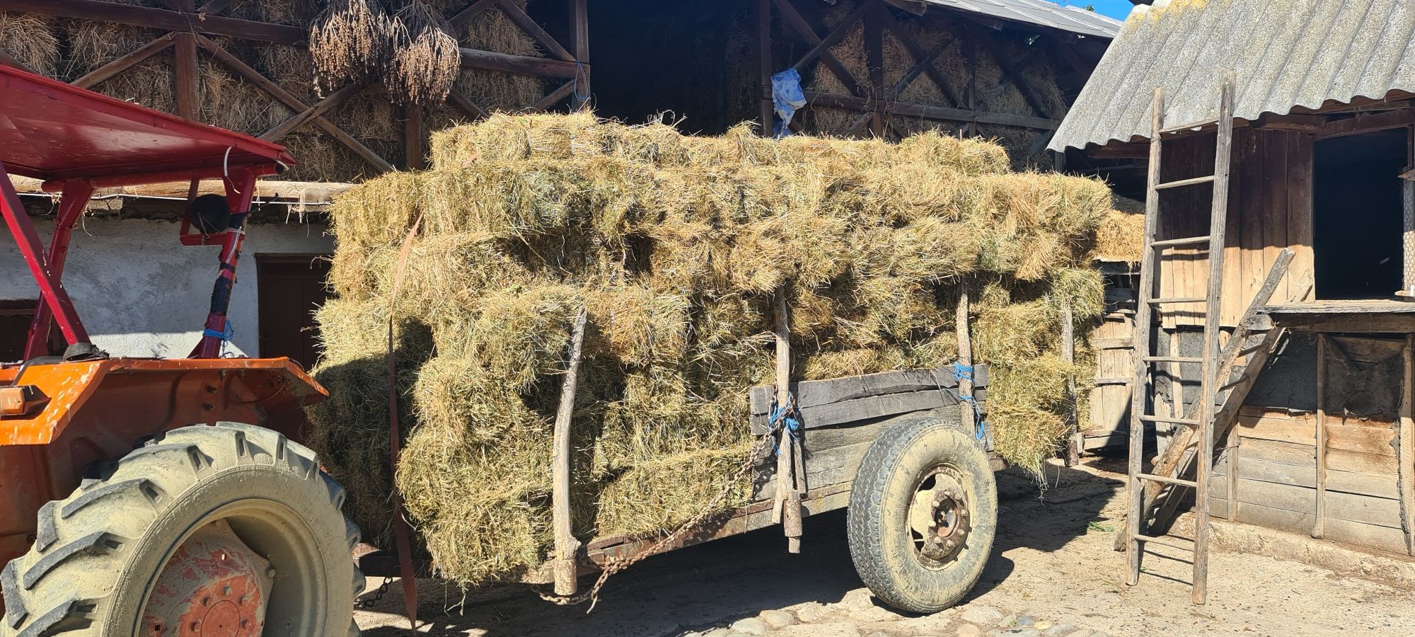 De Vânzare BALOȚI De FÎN. 150 buc.