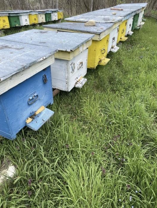 Cutii stupi stare foarte buna