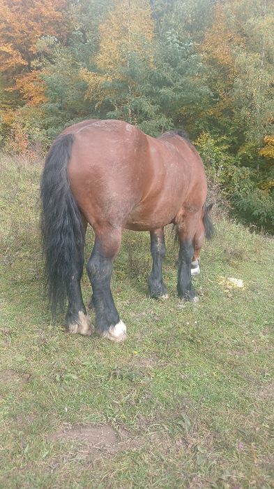 Vand ce se vede mai multe detali la telefon