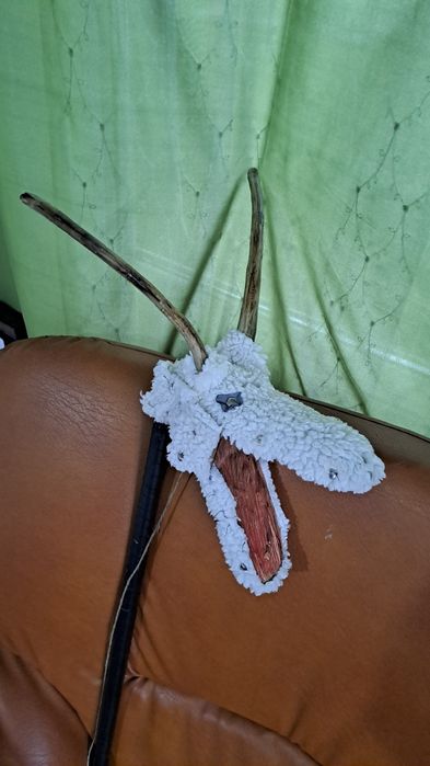 Vănd capre de anu nou