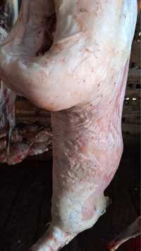 Мясо баранины кг 2300 , доставка бесплатно
