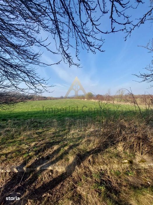 Teren De Vanzare Ptr.business 34100 Mp Onesti