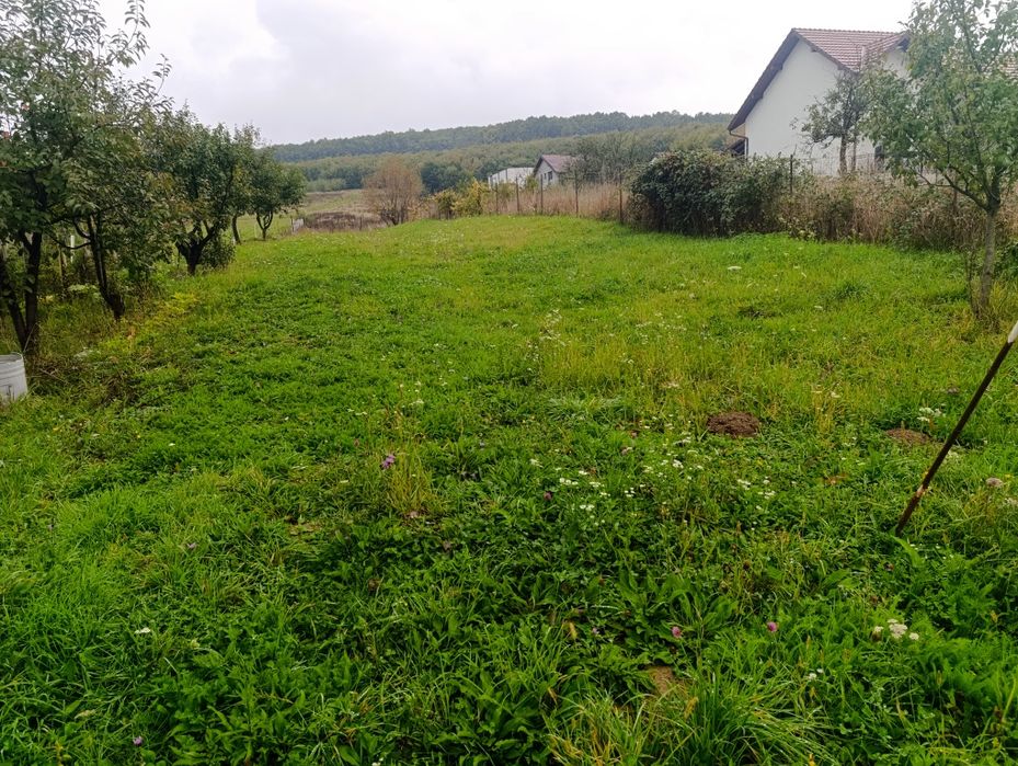 Teren intravilan  de vanzare str bujorilor